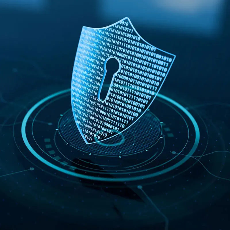 Vulse Security